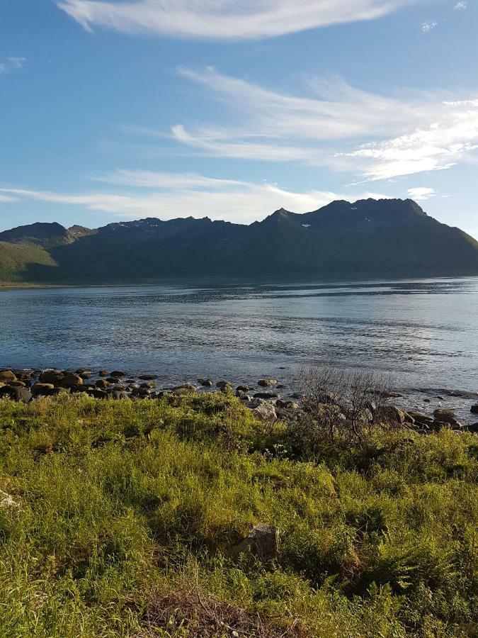Appartamento Hus Retro Gryllefjord Esterno foto