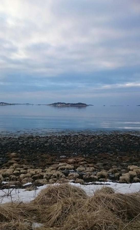 Appartamento Hus Retro Gryllefjord Esterno foto