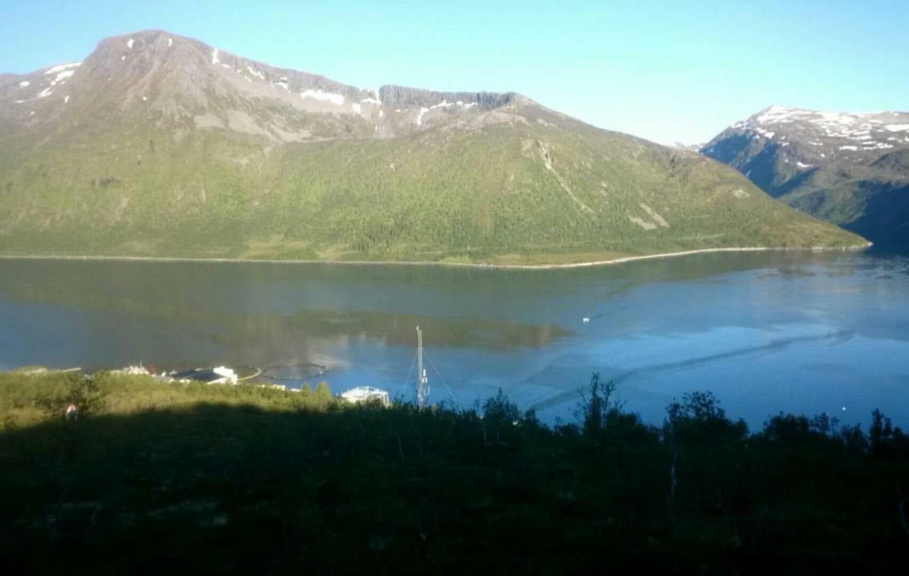 Appartamento Hus Retro Gryllefjord Esterno foto
